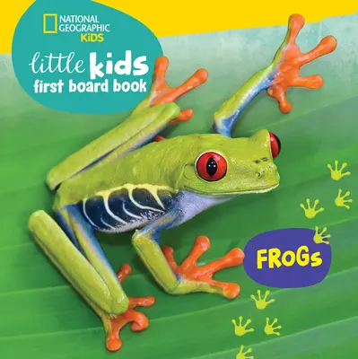 Little Kids First Board Book: Békák - Little Kids First Board Book: Frogs