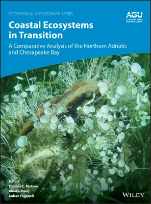 Átalakulóban lévő parti ökoszisztémák: Adria és a Chesapeake-öböl összehasonlító elemzése. - Coastal Ecosystems in Transition: A Comparative Analysis of the Northern Adriatic and Chesapeake Bay