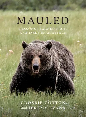 Mauled: Tanulságok egy grizzlymedve-támadásból - Mauled: Lessons Learned from a Grizzly Bear Attack