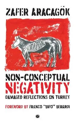 Nem fogalmi negatívum: Sérült elmélkedések Törökországról - Non-Conceptual Negativity: Damaged Reflections on Turkey