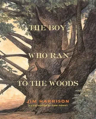 A fiú, aki az erdőbe futott - The Boy Who Ran to the Woods