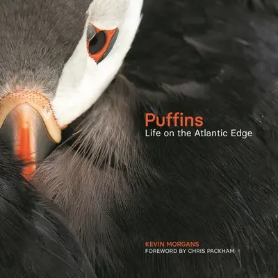 Puffins: Élet az Atlanti-óceán peremén - Puffins: Life on the Atlantic Edge