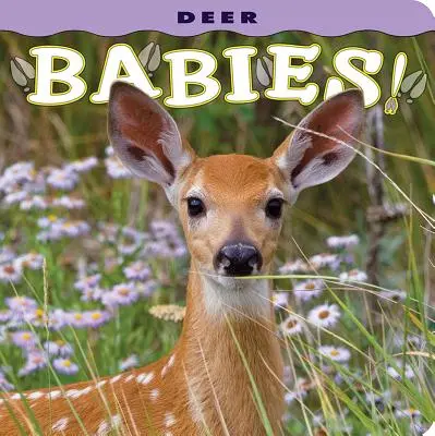 Szarvasbabák! - Deer Babies!