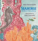 Csikóhal: A tenger legfélénkebb halai - Seahorse: The Shyest Fish in the Sea