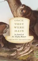 Egykor kalaposok voltak: A hatalmas hód nyomában - Once They Were Hats: In Search of the Mighty Beaver