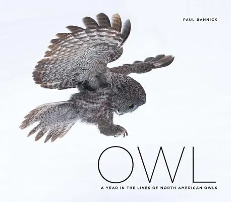 Bagoly: Egy év az észak-amerikai baglyok életéből - Owl: A Year in the Lives of North American Owls