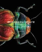 Mikroszobrászat: Rovarok portréi - Microsculpture: Portraits of Insects