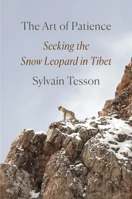 A türelem művészete: A hópárduc keresése Tibetben - The Art of Patience: Seeking the Snow Leopard in Tibet