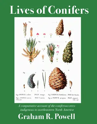 A tűlevelűek élete: Az Északkelet-Amerikában honos tűlevelű fák összehasonlító bemutatása - Lives of Conifers: A Comparative Account of the Coniferous Trees Indigenous to Northeastern North America