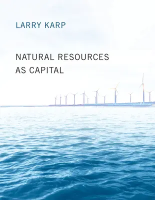 A természeti erőforrások mint tőke - Natural Resources as Capital