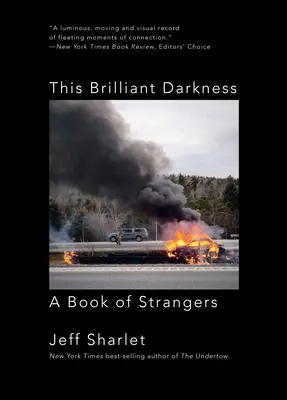 Ez a ragyogó sötétség: A Book of Strangers - This Brilliant Darkness: A Book of Strangers