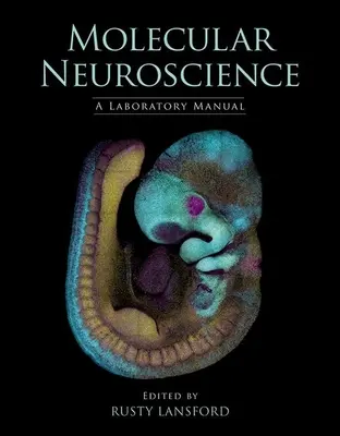 Molekuláris idegtudomány: A Laboratory Manual - Molecular Neuroscience: A Laboratory Manual