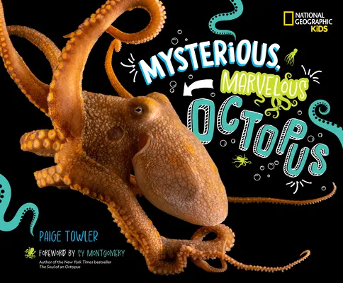 Titokzatos, csodálatos polip! - Mysterious, Marvelous Octopus!