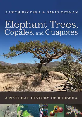 Elefántfák, Copales és Cuajiotes: A Natural History of Bursera - Elephant Trees, Copales, and Cuajiotes: A Natural History of Bursera