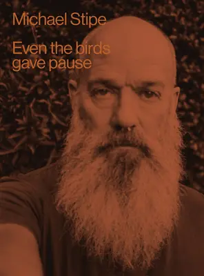 Michael Stipe: Szünetet tartottak a madarak is - Michael Stipe: Even the Birds Gave Pause