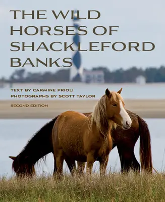 A Shackleford Banks vadlovai - Wild Horses of Shackleford Banks