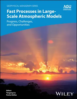 Gyors folyamatok a nagy léptékű légköri modellekben: Progress, Challenges, and Opportunities (Előrelépések, kihívások és lehetőségek) - Fast Processes in Large-Scale Atmospheric Models: Progress, Challenges, and Opportunities