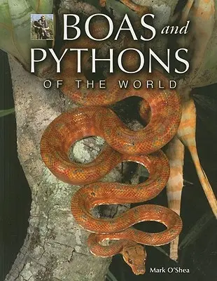 A világ boái és pitonjai - Boas and Pythons of the World