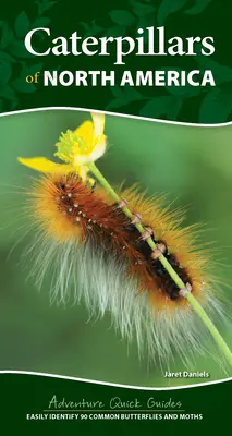 Észak-Amerika hernyói: 90 gyakori lepke és molylepke könnyű azonosítása - Caterpillars of North America: Easily Identify 90 Common Butterflies and Moths