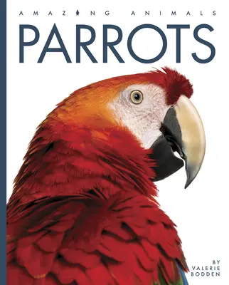 Papagájok - Parrots