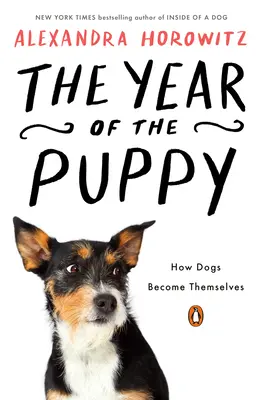 A kiskutya éve: Hogyan válnak a kutyák önmagukká - The Year of the Puppy: How Dogs Become Themselves