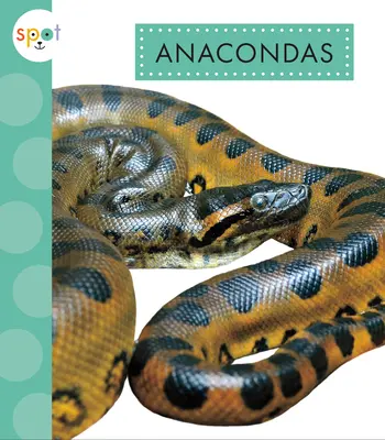 Anacondas