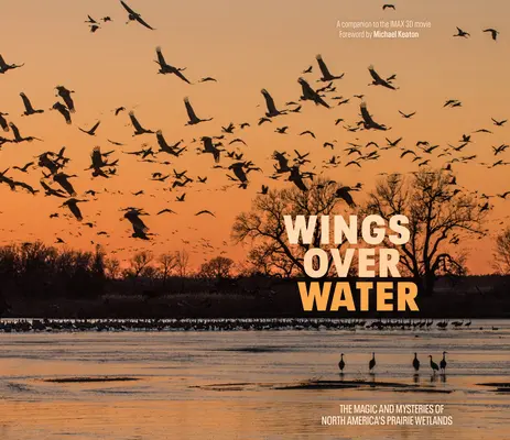 Szárnyak a víz felett: Az észak-amerikai préri vizes élőhelyeinek létfontosságú varázsa - Wings Over Water: The Vital Magic of North America's Prairie Wetlands