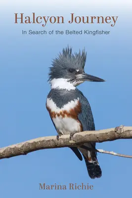 Halcyon Journey: Az öves jégmadár nyomában - Halcyon Journey: In Search of the Belted Kingfisher