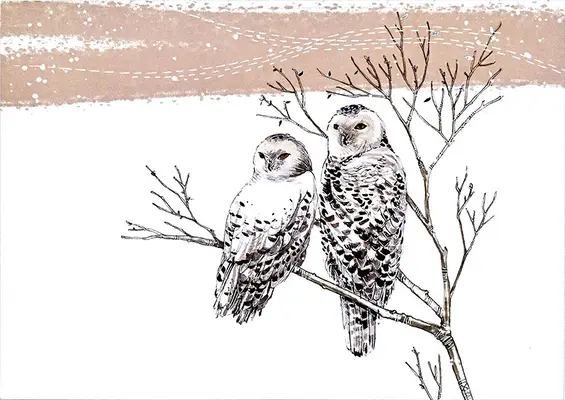 Havas baglyok Deluxe dobozos ünnepi képeslapok - Snowy Owls Deluxe Boxed Holiday Cards