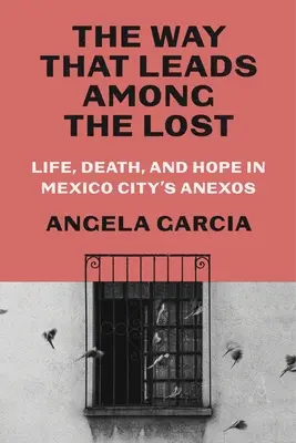 Az út, amely az elveszettek közé vezet: Élet, halál és remény a mexikóvárosi Anexosban - The Way That Leads Among the Lost: Life, Death, and Hope in Mexico City's Anexos