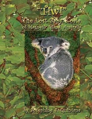 Tiwi, az elveszett koalabébi az ausztráliai Magnetic-szigeten - Tiwi, the Lost Baby Koala of Magnetic Island, Australia