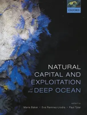 A természeti tőke és a mélytenger kiaknázása - Natural Capital and Exploitation of the Deep Ocean