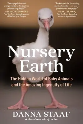 Óvodai Föld: A kisállatok rejtett világa és az élet csodálatos leleménye - Nursery Earth: The Hidden World of Baby Animals and the Amazing Ingenuity of Life