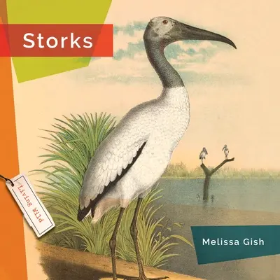 Gólyák - Storks