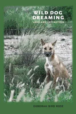 Wild Dog Dreaming: Szerelem és kihalás - Wild Dog Dreaming: Love and Extinction