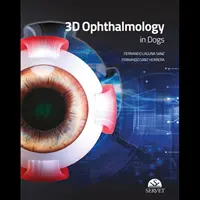 3D szemészet kutyáknál - 3D Ophthalmology in Dogs