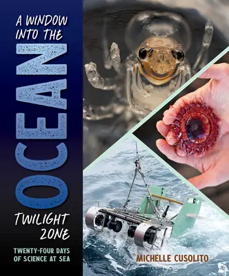 Ablak az óceán alkonyzónájába: Huszonnégy nap tudomány a tengeren - A Window Into the Ocean Twilight Zone: Twenty-Four Days of Science at Sea