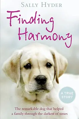 A harmónia megtalálása: A figyelemre méltó kutya, amely átsegített egy családot a legsötétebb időkön - Finding Harmony: The remarkable dog that helped a family through the darkest of times