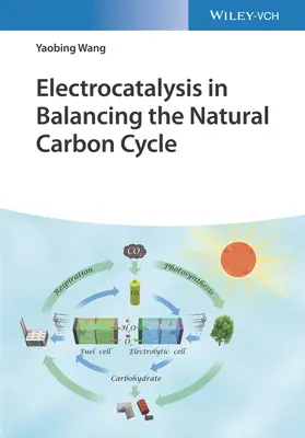 Elektrokatalízis a természetes szénciklus kiegyensúlyozásában - Electrocatalysis in Balancing the Natural Carbon Cycle