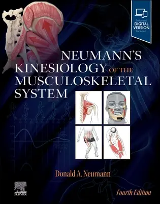 Neumann: Az izom- és csontrendszer kineziológiája - Neumann's Kinesiology of the Musculoskeletal System