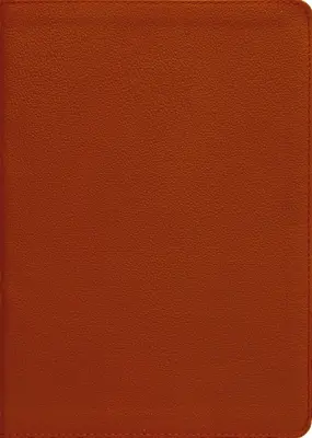 Esv, Thompson Láncos Referencia Biblia, Valódi bőr, Borjúbőr, Barna, Vörös betűs - Esv, Thompson Chain-Reference Bible, Genuine Leather, Calfskin, Tan, Red Letter