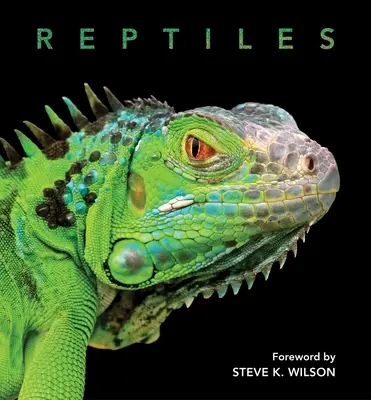 Hüllők - Reptiles