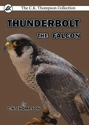 Thunderbolt, a sólyom - Thunderbolt the Falcon