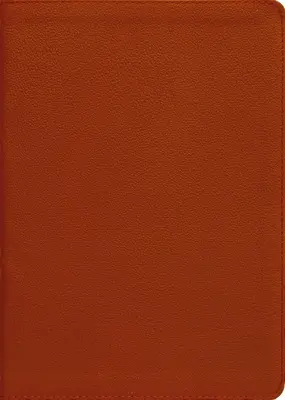 Esv, Thompson Lánc-referenciás Biblia, valódi bőr, borjúbőr, barna, piros betűs, hüvelykujjas indexelésű - Esv, Thompson Chain-Reference Bible, Genuine Leather, Calfskin, Tan, Red Letter, Thumb Indexed