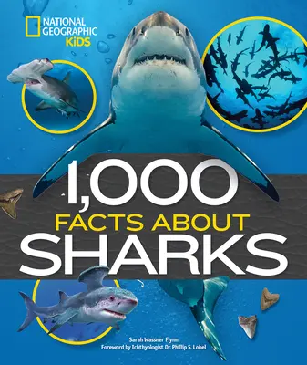 1000 tény a cápákról - 1,000 Facts about Sharks