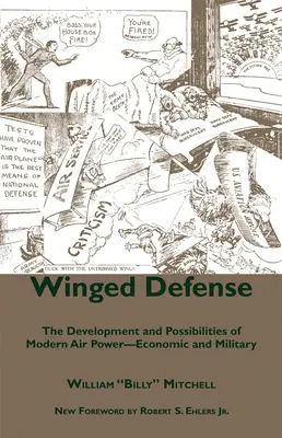 Szárnyas védelem: A modern légierő fejlődése és lehetőségei - gazdasági és katonai szempontból - Winged Defense: The Development and Possibilities of Modern Air Power-Economic and Military