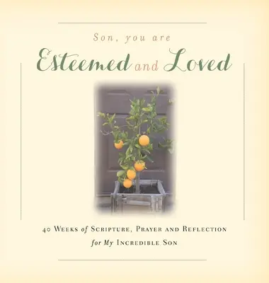 Fiam, megbecsültek és szeretnek téged: 40 hét szentírás, ima és elmélkedés a hihetetlen fiamért - Son, You are Esteemed and Loved: 40 Weeks of Scripture, Prayer and Reflection for My Incredible Son