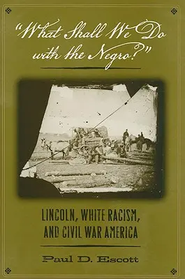 Mit tegyünk a négerrel? Lincoln, a fehér rasszizmus és a polgárháborús Amerika - What Shall We Do with the Negro?: Lincoln, White Racism, and Civil War America