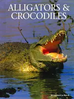 Alligátorok és krokodilok - Alligators & Crocodiles