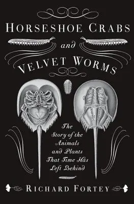 Patkórák és bársonyférgek: Az idő által hátrahagyott állatok és növények története - Horseshoe Crabs and Velvet Worms: The Story of the Animals and Plants That Time Has Left Behind